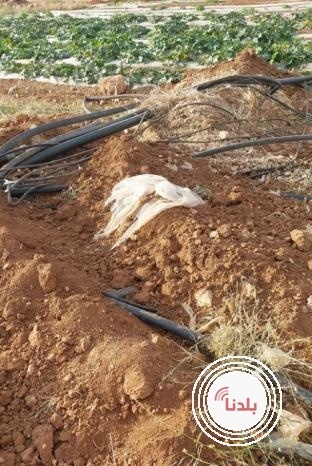 مستوطنون يتلفون خطا ناقلا للمياه شرق طمون