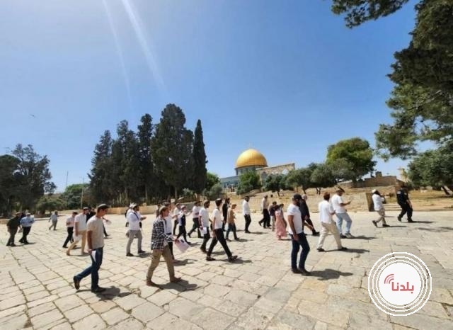 عشرات المستوطنين يقتحمون باحات الأقصى