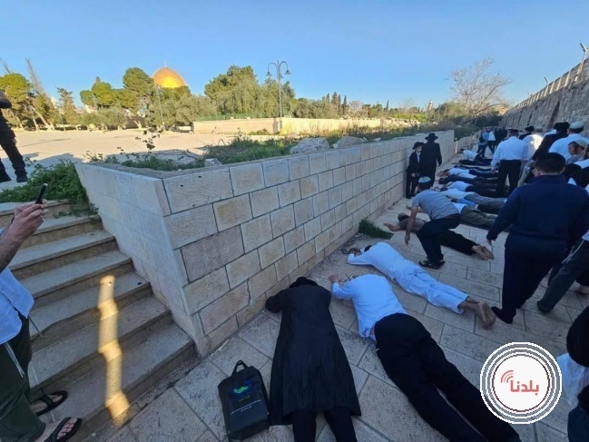 استعدادات مكثفة لتنظيم أكبر اقتحام استيطاني للمسجد الأقصى