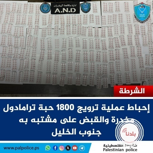 الخليل: "مكافحة المخدرات" تحبط عملية ترويج كمية كبيرة من الحبوب المخدرة